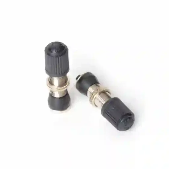 Ver más sobre Accesorios Valvula Schrader Stans Notubes 32 mm - Blister x 2 unidades, Argentina